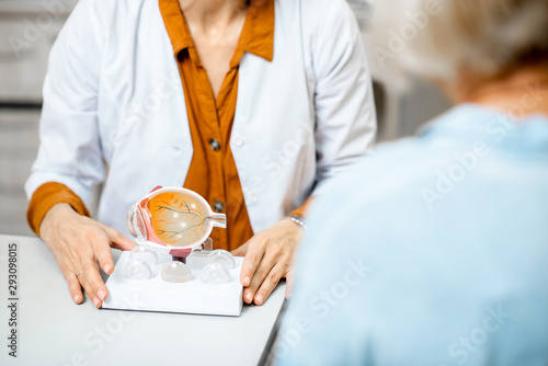 Female ophthalmologist showing the eye model to a senior patient during a medical consultation in the ophthalmologic office