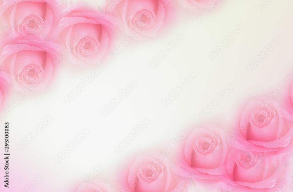 Sweet color roses in soft style for background. Valentine's concept - Image