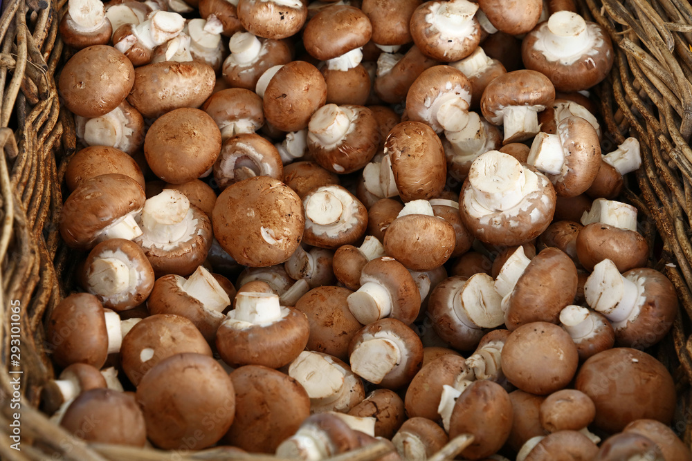Brown champignon edible mushrooms at retail