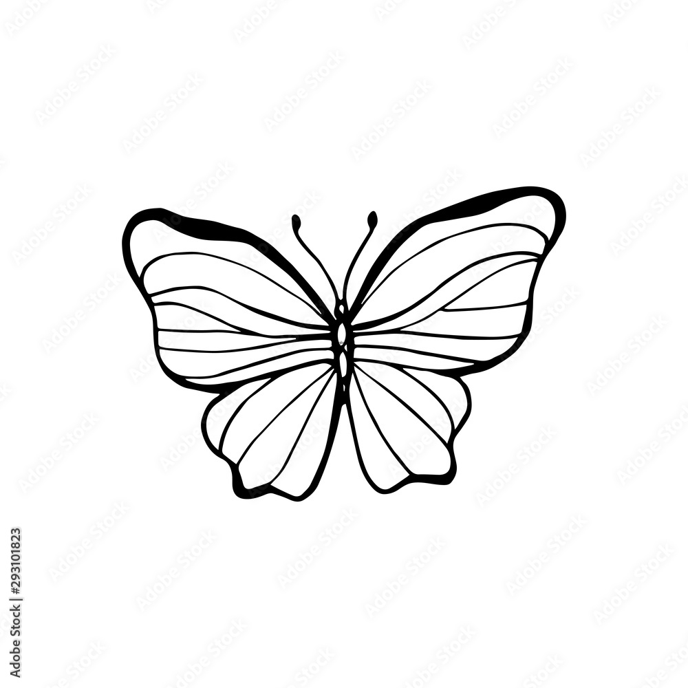 Amazing fly butterfly with dots, spirals, triangles. Wild life insect. Vector. Creative bohemia concept for wedding invitations, cards, tickets, congratulations, branding, logo, label. Black and white Amazing fly butterfly with dots, spirals, triangles. Wild life insect. Vector. Creative bohemia concept for wedding invitations, cards, tickets, congratulations, branding, logo, label. Black and white