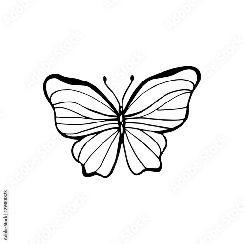 Amazing fly butterfly with dots, spirals, triangles. Wild life insect. Vector. Creative bohemia concept for wedding invitations, cards, tickets, congratulations, branding, logo, label. Black and white