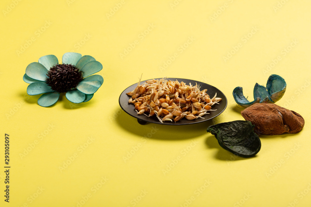 Sprouted seeds on plate on yellow background with flowers Sprouted seeds on plate on yellow background with flowers