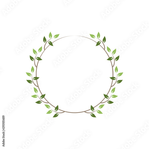 Vintage floral round frames. Green decorative ivy wreath. Vector illustration