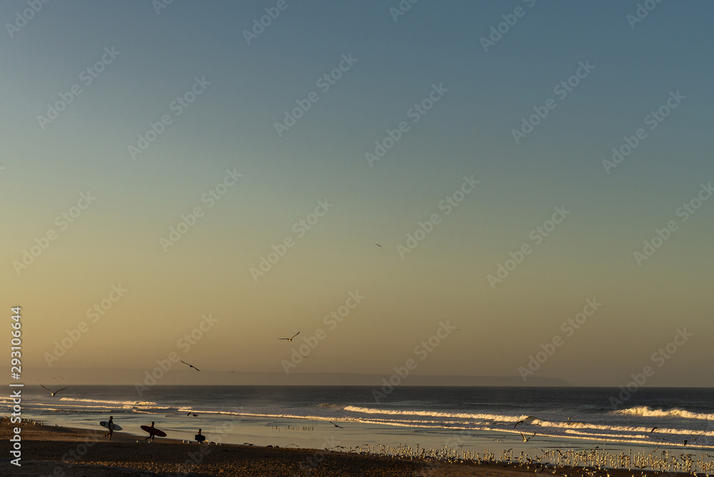 Three surfers on a beach with a lot of seagulls at sunrise