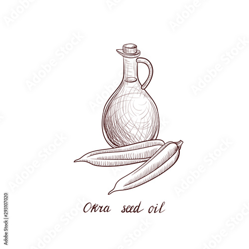 vector drawing okra seed oil photo