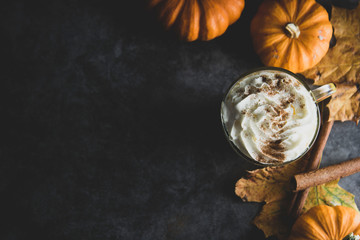 Spiced autumn pumpkin latte drink with cinnamon and cream foam top view with copy space fall drink