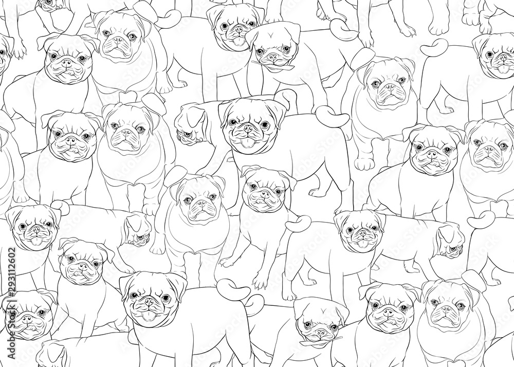 pug patt 2 pug patt 2