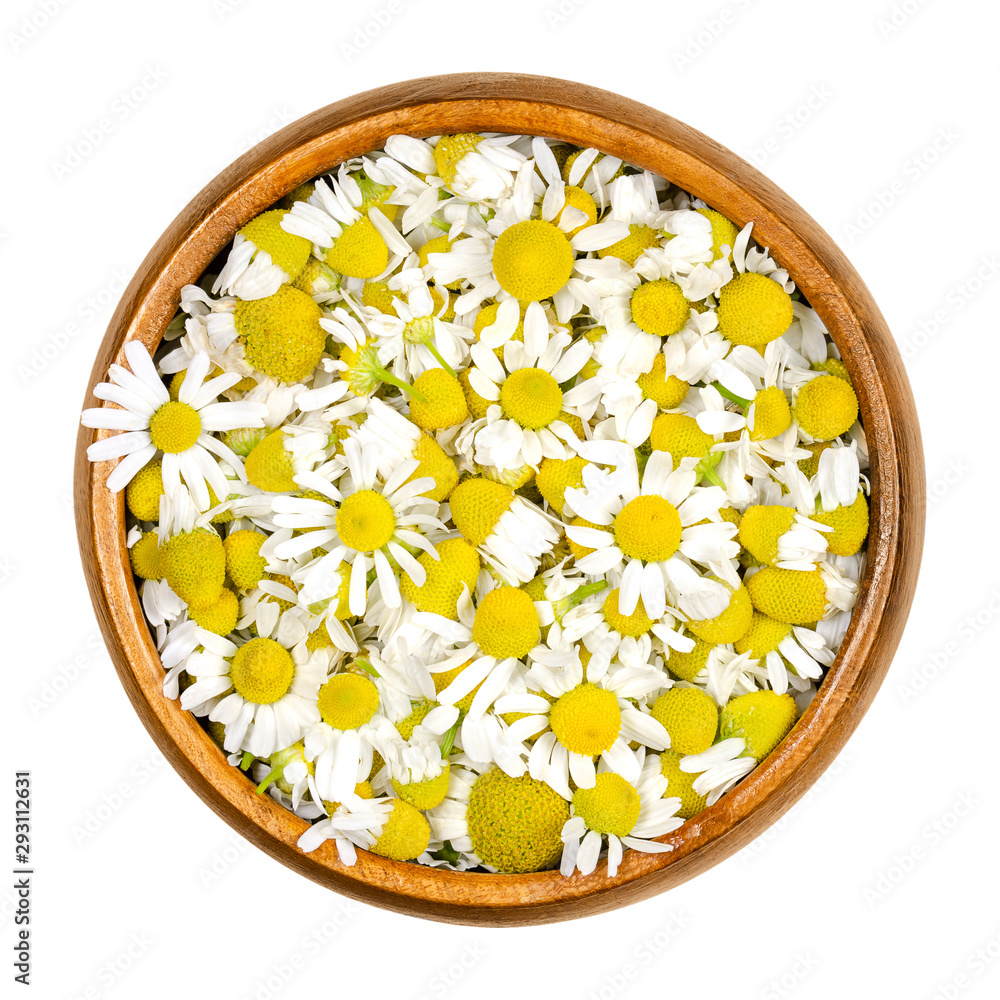 Chamomile blossoms in wooden bowl. Fresh camomile flowers, Matricaria chamomilla, used for herbal infusions and in traditional medicine. Closeup, from above, on white background, isolated macro photo. - obrazy, fototapety, plakaty 