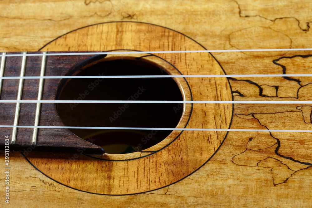 Obraz premium Ukulele
