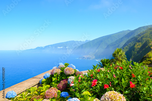 Colorful flowers and beautiful northern coast of Madeira Island, Portugal. Typical Hydrangea, Hortensia flowers. Amazing coast by Ribeira da Janela. Green landscape by Atlantic ocean. Eternal spring