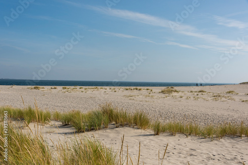 Beautiful tranquil dune landscape and long beach at North Sea