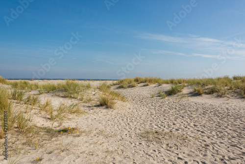 Beautiful tranquil dune landscape and long beach at North Sea