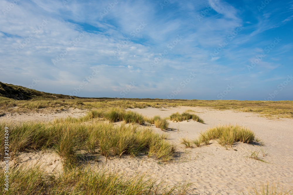 Beautiful tranquil dune landscape and long beach at North Sea Beautiful tranquil dune landscape and long beach at North Sea