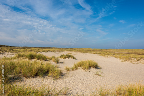 Beautiful tranquil dune landscape and long beach at North Sea © 26max