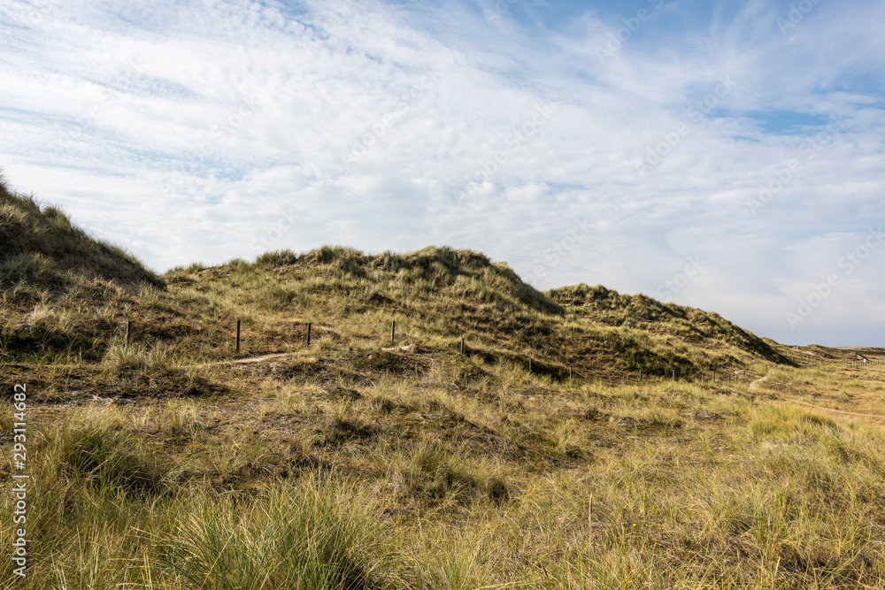 Beautiful tranquil dune landscape and long beach at North Sea