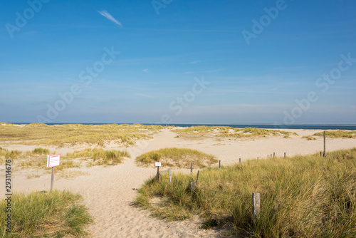 Fototapeta Naklejka Na Ścianę i Meble -  Beautiful tranquil dune landscape and long beach at North Sea