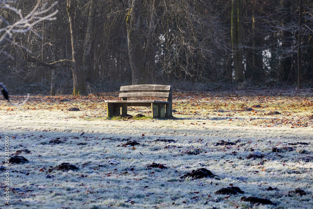 Frosty morning seat