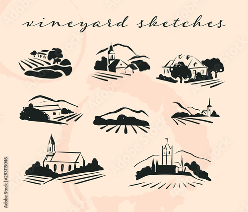 Vector village hand drawn landscape collection with fields, houses and vineyrad on white background. For vineyard brand, wine logo, daily products, restaurant menu design, bar etc. photo
