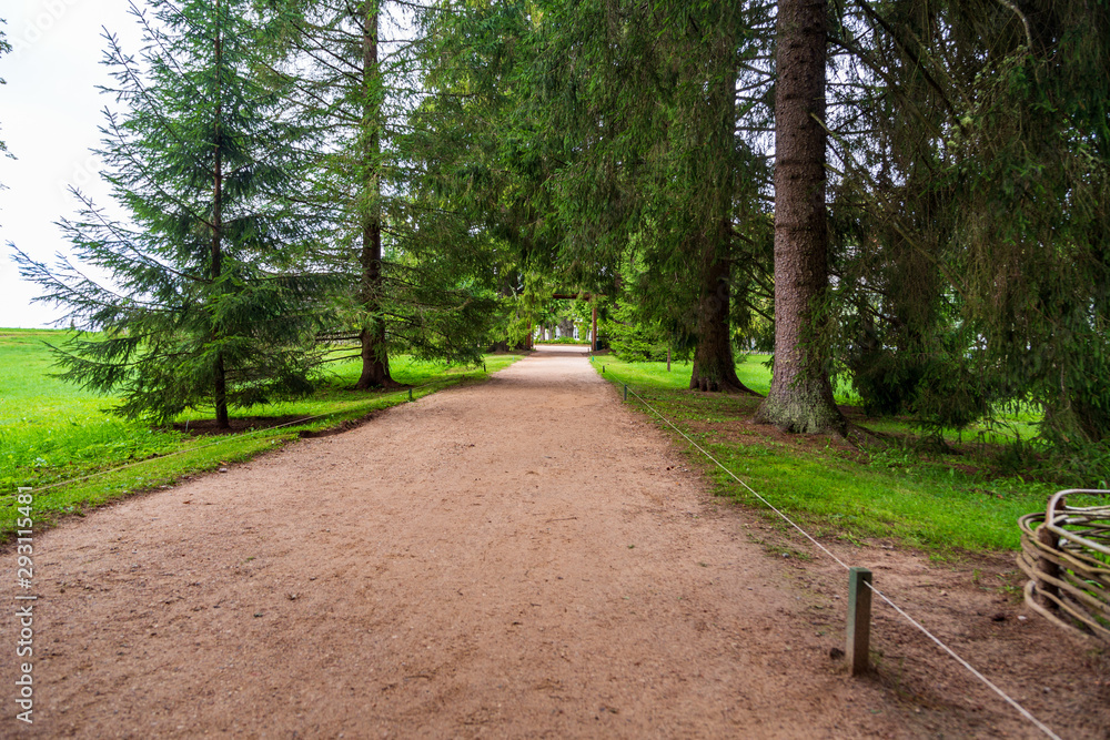 Fototapeta premium ścieżka w parku
