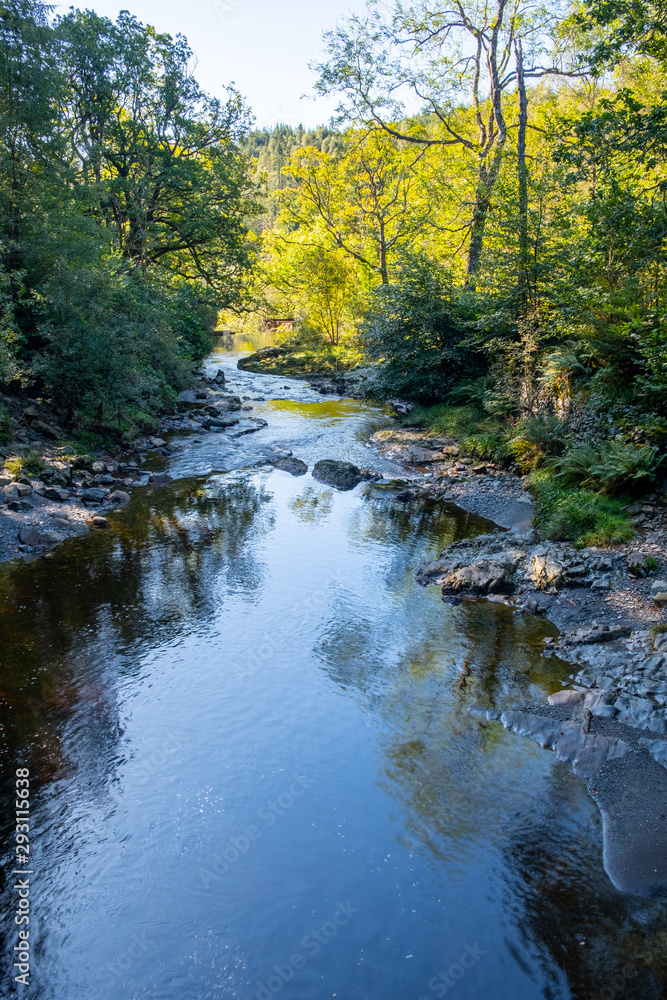 river in north wales in the woods river in north wales in the woods