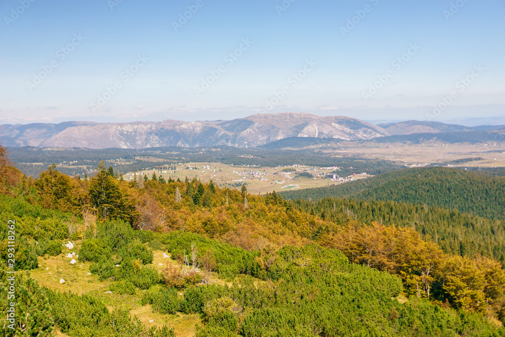 Fototapeta premium landscape with mountains and trees