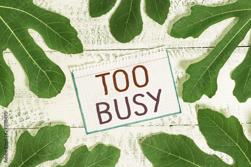 Text sign showing Too Busy. Business photo showcasing No time to relax no idle time for have so much work or things to do photo