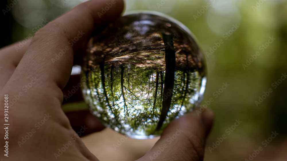 Wald in Glaskugel