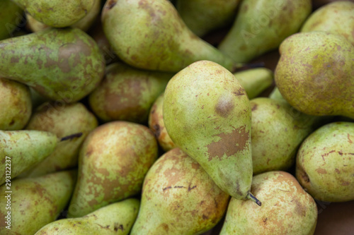 Green fresh delicious ripe pear pile  fruit pear close-up for background  healthy snack  diet