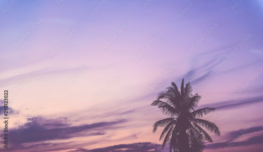 Silhouette coconut trees on the beautiful sunset sky