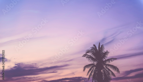 Fototapeta Naklejka Na Ścianę i Meble -  Silhouette coconut trees on the beautiful sunset sky