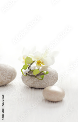 SPA still life - pebbles and flowers