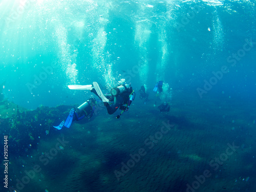 Scuba diver with coral