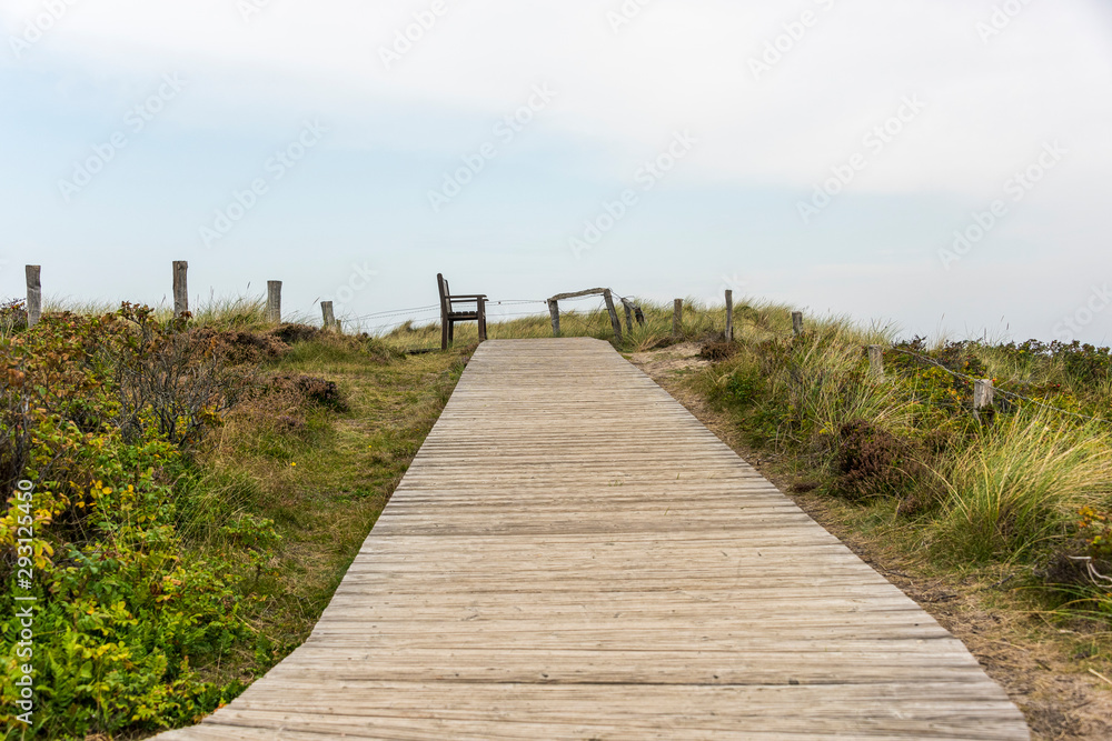 Fototapeta premium Footpath through dunes
