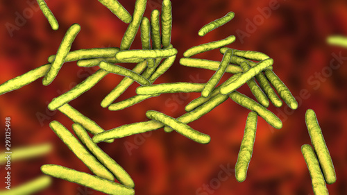 Mycobacterium leprae bacteria  the causative agent of leprosy  3D illustration