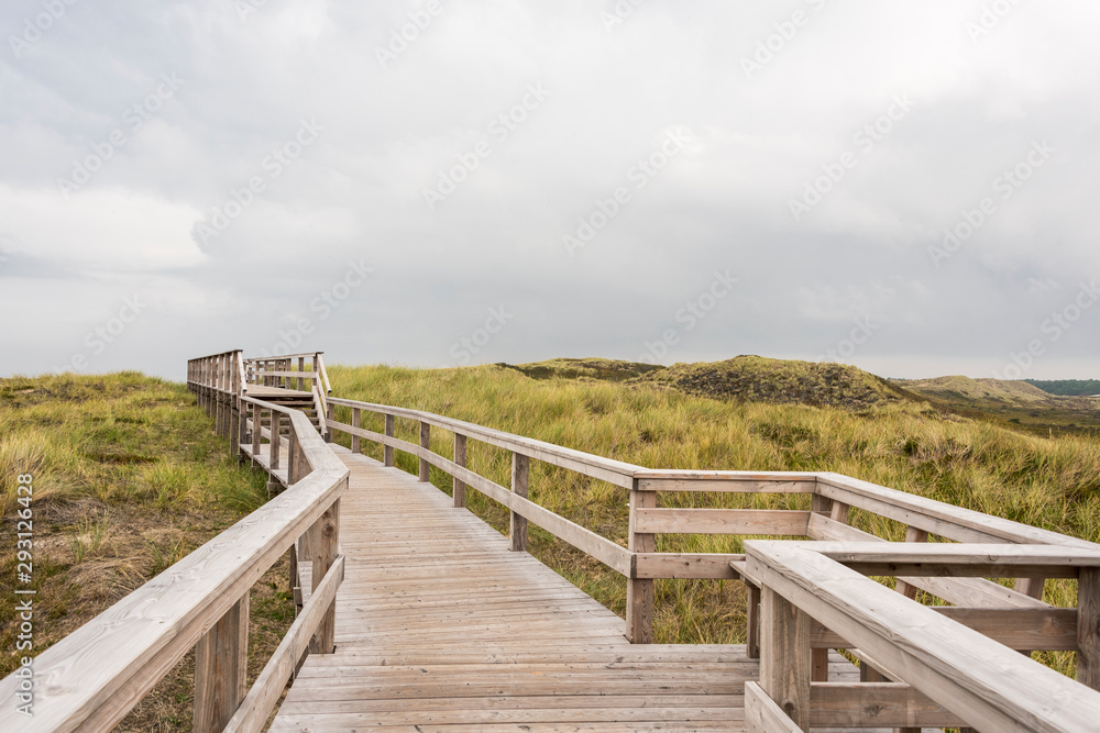 Footpath through dunes