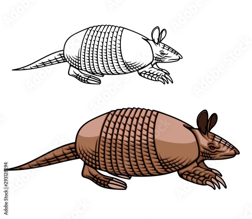 Armadillo mascot, animal with armoured shell icon