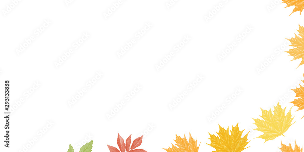 yellow-green autumn leaves. Frame. White background. yellow-green autumn leaves. Frame. White background.