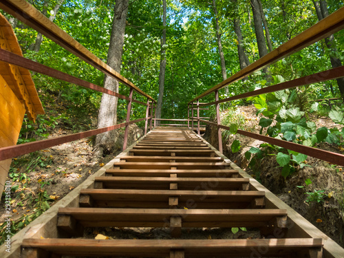 Fototapeta Naklejka Na Ścianę i Meble -  Wooden stair in the summer forest. Travel concept