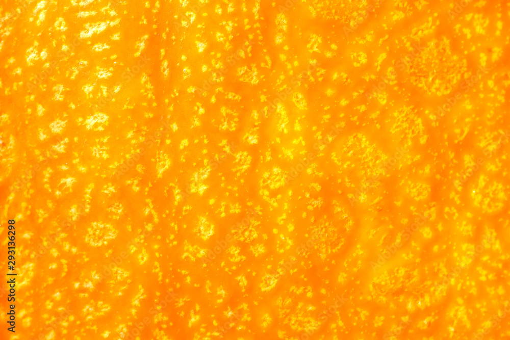 Ripe fresh pumpkin closeup, background . Yellow orange pumpkin. Pumpkin skin texture Ripe fresh pumpkin closeup, background . Yellow orange pumpkin. Pumpkin skin texture