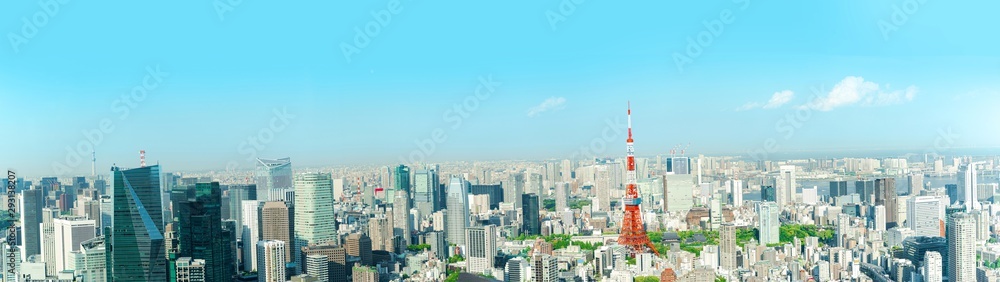 Fototapeta premium The most beautiful viewpoint panorama Tokyo tower in tokyo city ,japan.