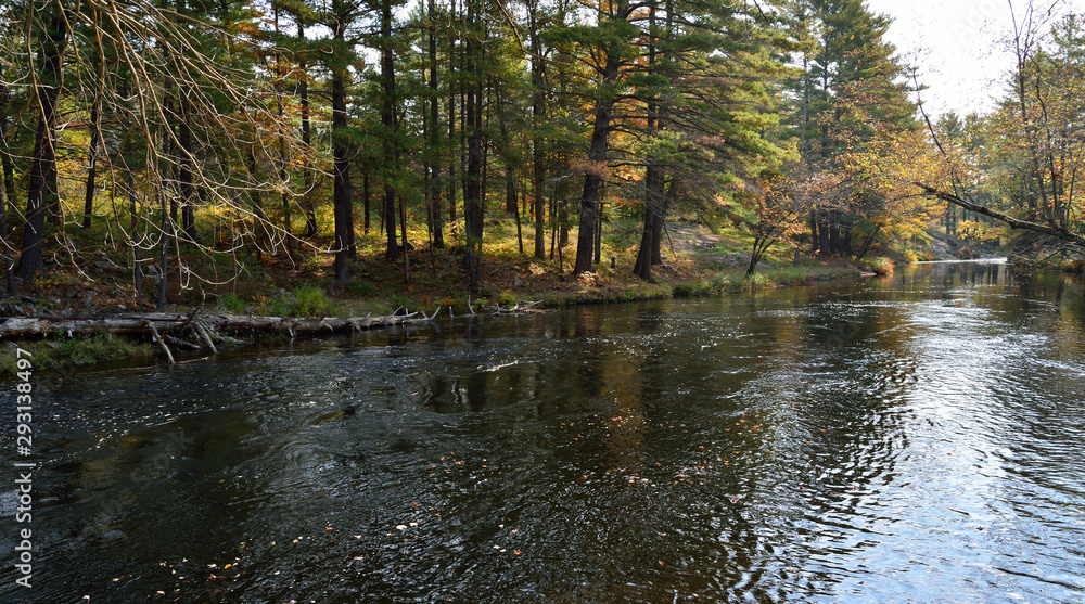 River rapids in autumn landscape