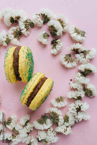 Composition of two delicious macaroons and floral petals