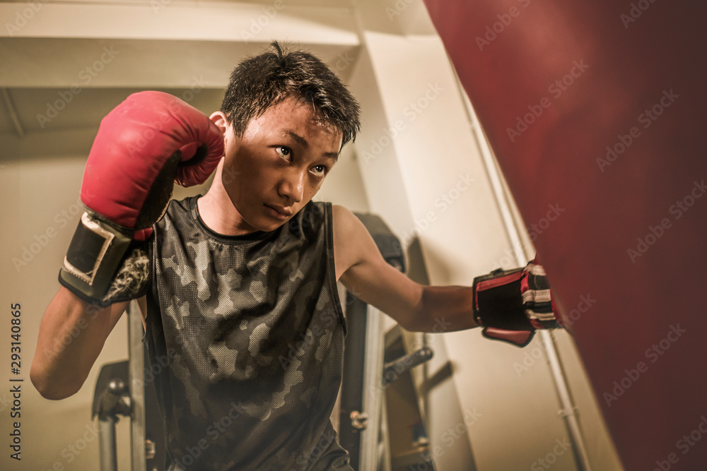 young handsome and fierce teenager boy doing fight workout punching heavy bag looking cool and badass at fitness club training hard using gloves young handsome and fierce teenager boy doing fight workout punching heavy bag looking cool and badass at fitness club training hard using gloves