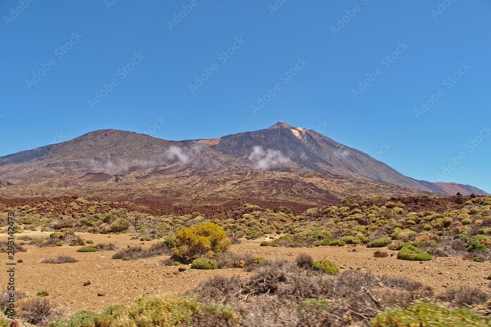 landscape on the Spanish Mount Teide volcano on Tenerife, Canary Islands landscape on the Spanish Mount Teide volcano on Tenerife, Canary Islands