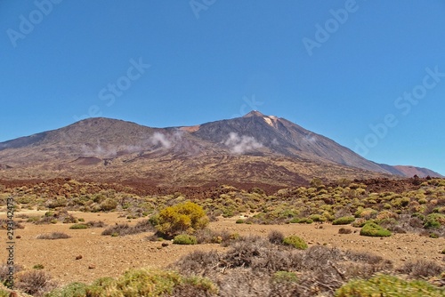  landscape on the Spanish Mount Teide volcano on Tenerife, Canary Islands