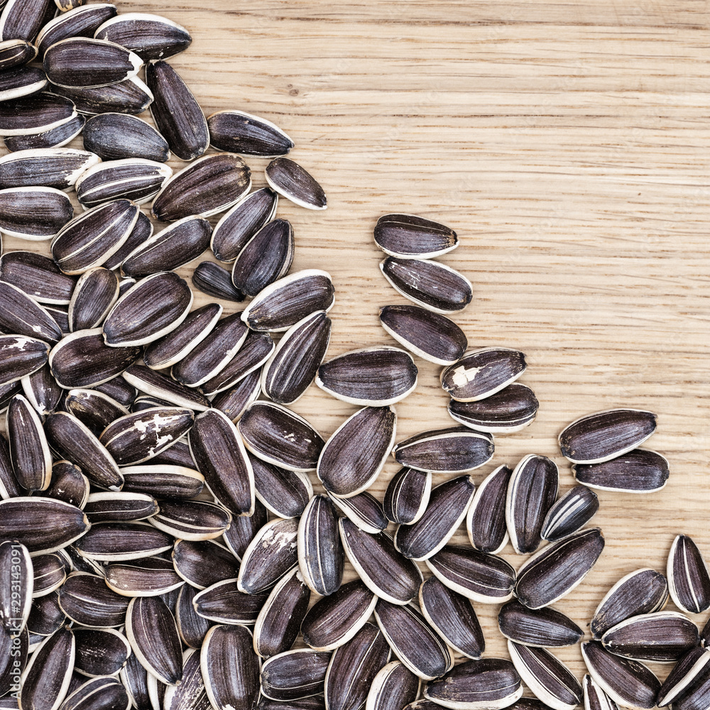 Striped sunflower seeds close up on wood with copy space. Top view. Natural background with small kernels. Striped sunflower seeds close up on wood with copy space. Top view. Natural background with small kernels.