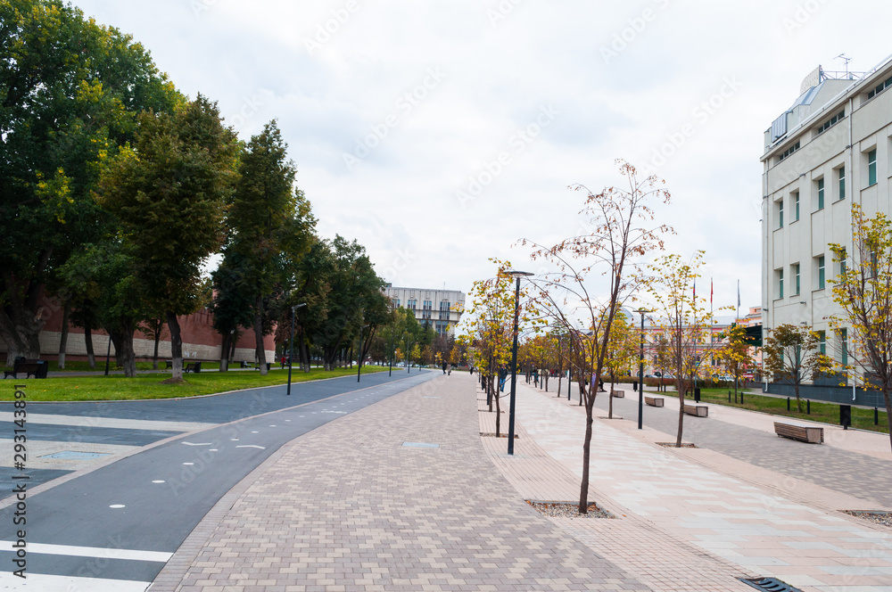 urban space. pedestrian, walking area. zoning of paths for pedestrians and Bicycle paths. young tree. autumn in the city. urban landscape urban space. pedestrian, walking area. zoning of paths for pedestrians and Bicycle paths. young tree. autumn in the city. urban landscape