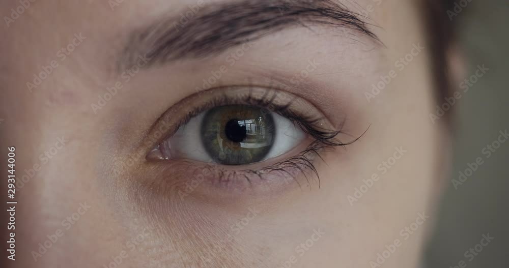 Close-up view on female green eye. Close-up view on female green eye.