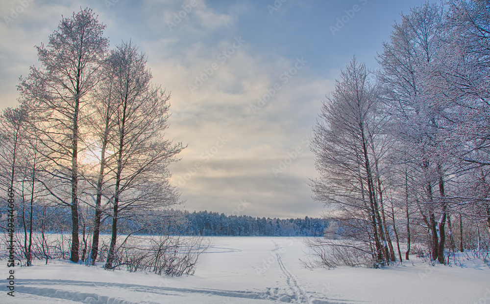 winter sunset in cold bare forest winter sunset in cold bare forest