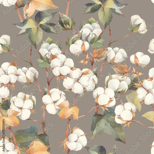 Seamless floral pattern of cotton branches. Hand painted watercolor illustration.